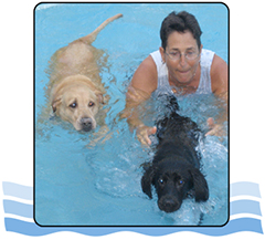 Swim Consultant Andy Broido